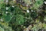 Apple-Green Fluorite Crystal Cluster - Fluorescent! #128811-2